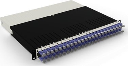 Picture of 8RU / STP / Violet