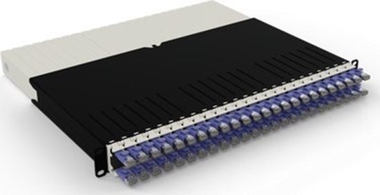 Picture of 8RU / STP / Violet