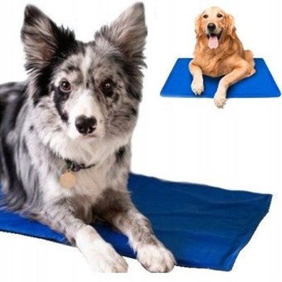 Picture of AC Cooling pad L size 50*90cm blue