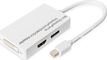 Picture of Adapter AV TRITON Digitus Aktywny adapter/konwerter Mini DisplayPort - Mini DP na DisplayPort, HDMI + DVI