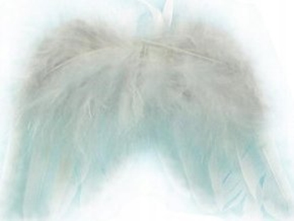 Изображение Adar Skrzydeka skrzyda  anioa 444034 ADAR