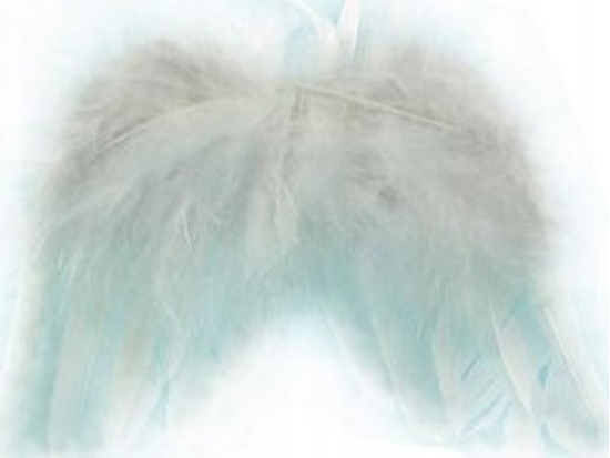 Изображение Adar Skrzydeka skrzyda  anioa 444034 ADAR