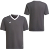 Picture of Adidas Koszulka adidas ENTRADA 22 JSY Y H57499 H57499 szary 116 cm