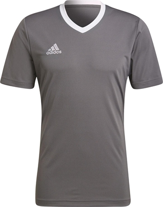 Attēls no Adidas Koszulka adidas ENTRADA 22 JSY Y HE1574 HE1574 szary XXL