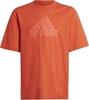 Picture of Adidas Koszulka adidas FI Logo Tee Jr HR6296