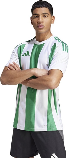 Picture of Adidas Koszulka adidas STRIPED 24 JSY IW2148