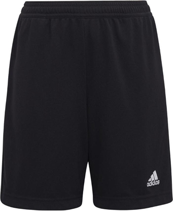 Picture of Adidas Spodenki adidas ENTRADA 22 Training Short Y H57498 H57498 czarny 152 cm