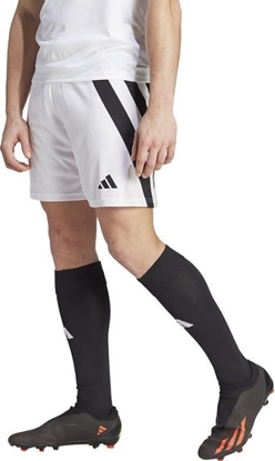 Picture of Adidas Spodenki adidas FORTORE 23 IK5761