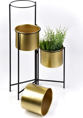 Picture of Affek Design SWEN GOLD Kwietnik h80x19.5cm,          h60x19.5cm, h40x19.5cm