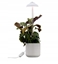 Attēls no Airam Iris plant light, IP20, 5W, 240 lm, white