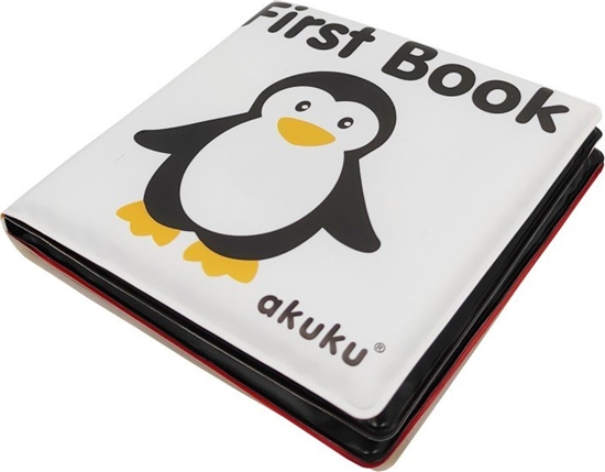 Picture of Akuku A0476 KSIECZKA EDUKACYJNA FIRST BOOK