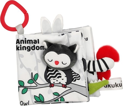 Picture of Akuku A0481 KSIECZKA EDUKACYJNA ANIMAL KINGDOM