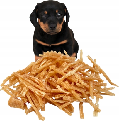 Picture of ALDA ALDA G833 JUNOR PASKI Z KURCZAKA 250g