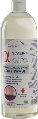 Attēls no Alfa Pyn Scaling 1000ml