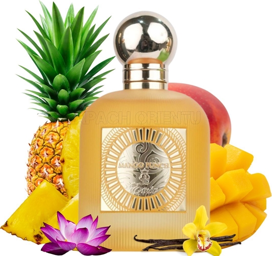 Изображение Alkotest EMIR Mango Punch EDP spray 100ml