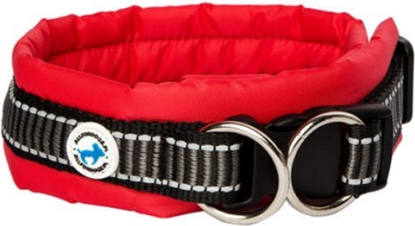 Attēls no All For Dogs Obroa dla psa czerwona r. L (50-60cm)