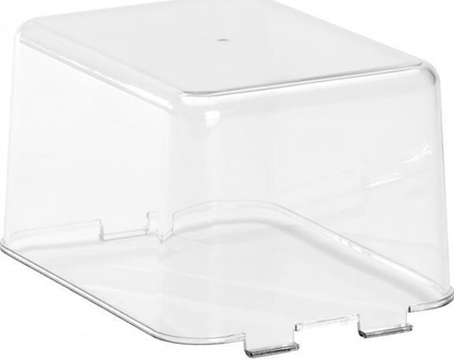 Picture of Alligator Pojemnik do alligatora plastikowego family