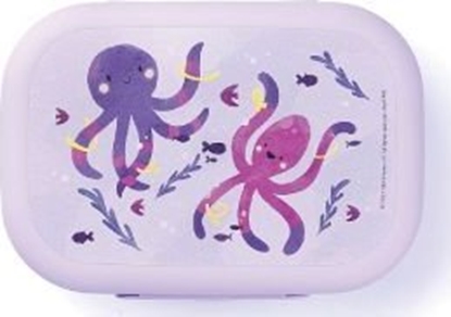 Picture of Amuse Lunchbox do szkoy CLIP Omiornica / Amuse