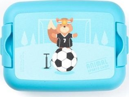 Picture of Amuse Lunchbox do szkoy Wiewiórka / Amuse