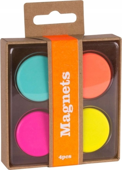 Picture of Apli Zestaw Fluor Collection, magnesy, 4 szt., mix kolorów