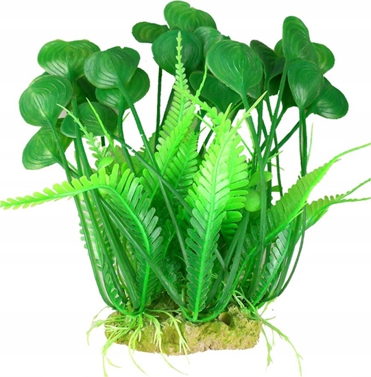 Picture of Aqua Nova AQUA NOVA ROLINA PLASTIKOWA 25 cm NP-25  6007-R