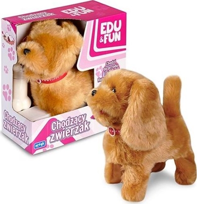 Изображение Artyk Chodzcy Brzowy Piesek Edu&Fun (349739)