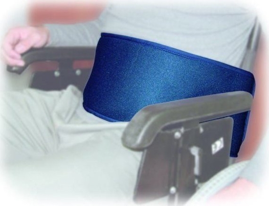 Picture of Aston Pas SECUBACK I 681020