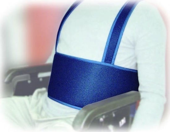 Picture of Aston Pas SECUBACK II 681023