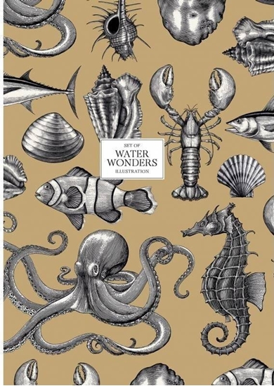 Изображение Astra Brulion A4/80K kratka Water Wonders ASTRA