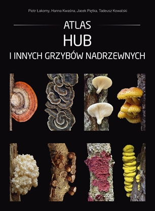 Изображение Atlas hub i innych grzybów nadrzewnych