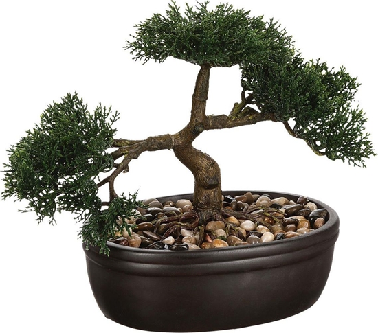 Picture of Atmosphera Drzewko bonsai w czarnej doniczce 23 cm