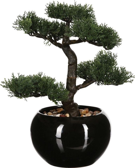 Picture of Atmosphera Drzewko bonsai w czarnej doniczce 36 cm