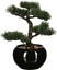 Attēls no Atmosphera Drzewko bonsai w czarnej doniczce 36 cm