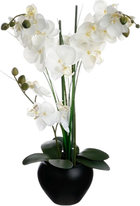 Изображение Atmosphera Orchidea w czarnej doniczce 53 cm