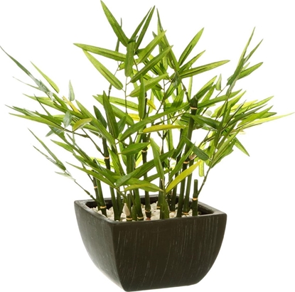 Изображение Atmosphera Sztuczny bambus w donicy 35 cm