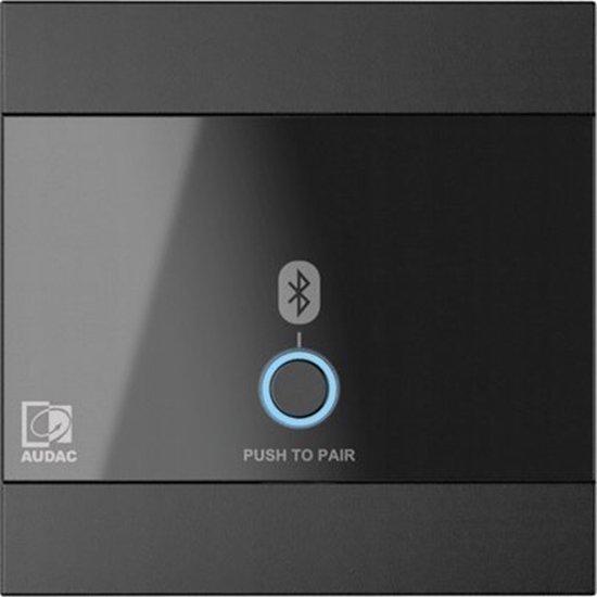 Picture of Audac AUDAC WP220/B - Panel nacienny kolor czarny