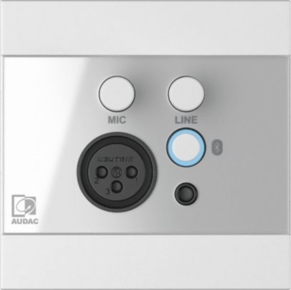 Picture of Audac AUDAC WP225/W - Panel nacienny kolor biay