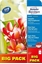 Изображение Avery Dennison Avery - fotopapir - 40 ark - A4 - 270