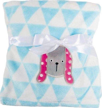 Picture of BabyMatex Kocyk 75 x 100 Mikrofibra z Haftem Ricco RI7A