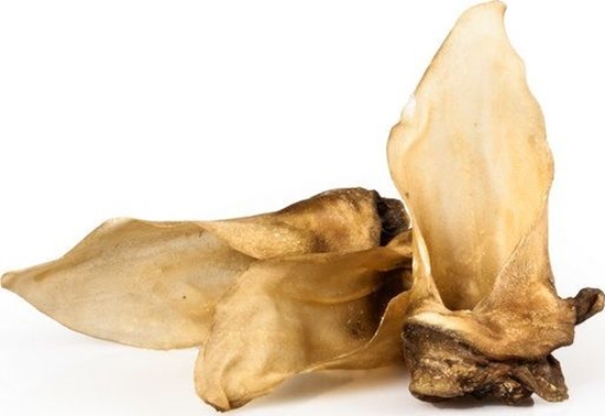 Picture of Balto Ucho sarny 5szt.