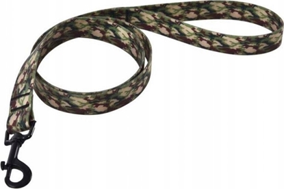 Изображение Barry King Wodoodporna smycz dla psa, PVC, moro, 2,5x120cm