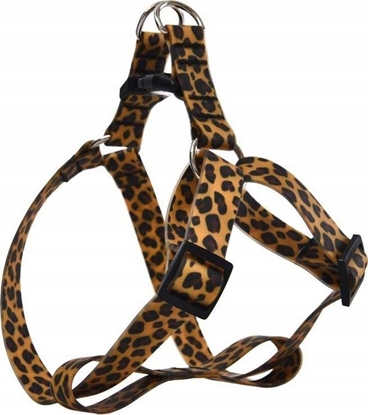 Изображение Barry King Wodoodporne szelki dla psa, PVC, panterka, 2,5x50-70cm