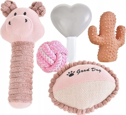 Picture of Barry King Zestaw prezentowy dla psa 5w1, róowy