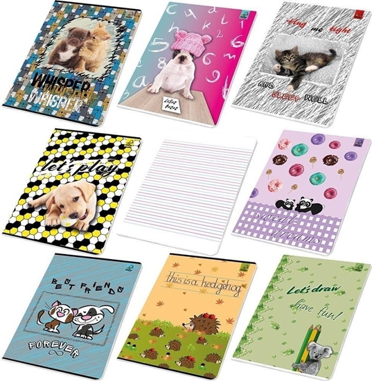 Изображение Bee-bee Zeszyt A5/16K linia BFF zwierzaki (20szt)