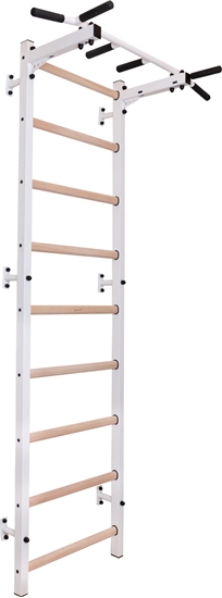 Picture of BenchK Drabinka gimnastyczna 311W