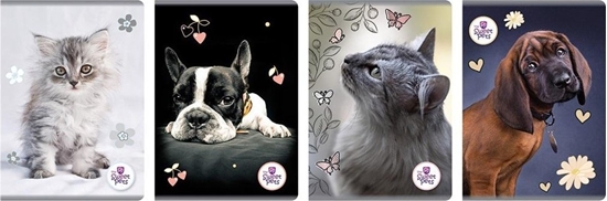 Picture of Beniamin Zeszyt A5/80K linia The Sweet Pets (5szt)
