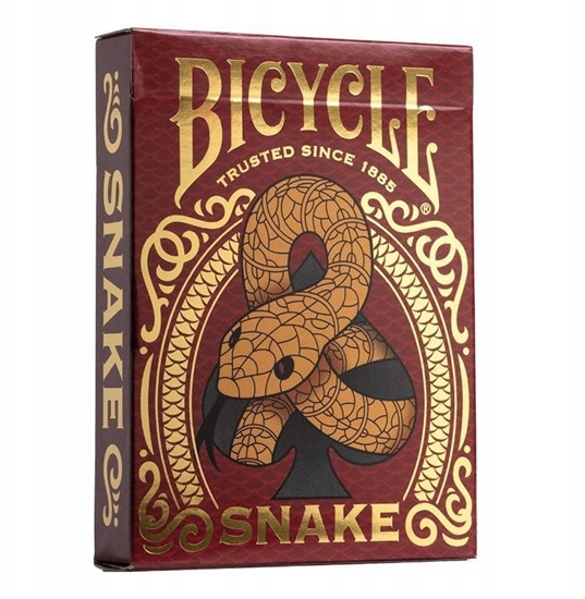 Picture of Bicycle: Snake
