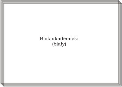 Picture of Biurfol BLOK BIUROWY A6 80K BIAY (5)