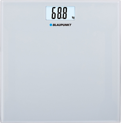 Picture of Blaupunkt BSP301