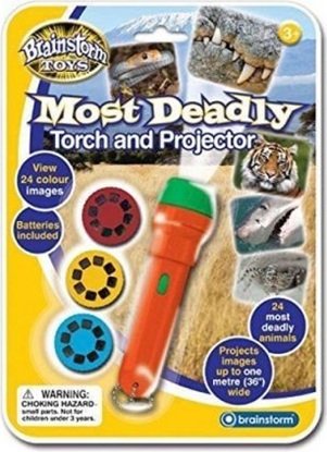 Изображение Brainstorm Latarka projektor Niebezpieczne zwierzta